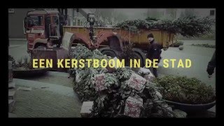 Kerstboom in de stad [upl. by Asihtal]