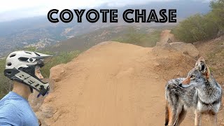 New Luiseno Bike Park Coyote Chase Mountain Bike San Diego [upl. by Tench]