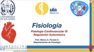 Fisiología Cardiovascular IX Regulación Autonómica [upl. by Tik]