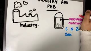 Understanding PHB Better know a polymer [upl. by Ohl269]