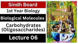 oligosaccharides  carbohydrate  biological molecules  class 11 biology  Sindh board new book [upl. by Leif]