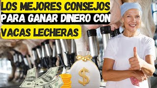 Los Mejores Consejos para Ganar Dinero con Vacas Lecheras [upl. by Ahslek]