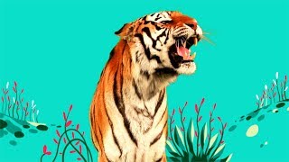 StoryBots  Wild Animal Songs Tiger Lion Zebra Rhino  Learning Songs for Kids  Netflix Jr [upl. by Llyrad]