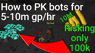 How to PK bots for 510m hr in OSRS Guide  Beginner friendly [upl. by Benedicta]