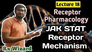 RECEPTORS  JAKSTAT Receptor Mechanism  Pharmacodynamics  Rx Wizard [upl. by Trip]