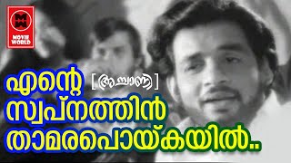 Ente Swapnathin  Achaani 1973  KJ Yesudas  P Bhaskaran  G Devarajan  Film Songs [upl. by Yellek]