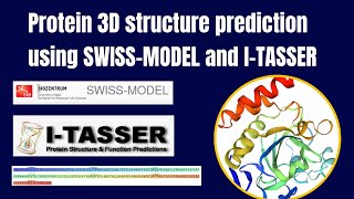 Protein structure 3D prediction using SWISSMODEL and ITASSER  Homology Modeling [upl. by Hnao]