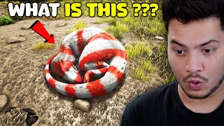 I Found This New Creature In Cave😨  Ark Survival Evolved  PART 18 [upl. by Ahsinej]