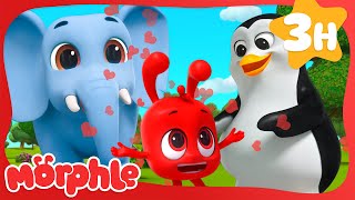 Morphle LOVES Going to the Zoo 🦁🐧🐘 Morphle Kids Cartoons  Animated Stories for Kids [upl. by Amis]