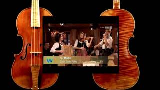 3 Musica Folk Die Gfierigen  ZackZackPolka [upl. by Aynuat441]