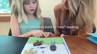 Blending Sounds  Focusing attention to build a reading brain [upl. by Lewis107]