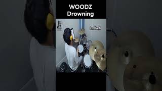 Drowning  WOODZ shorts woodz jhkdrum [upl. by Aiynat984]