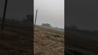 Village Life villagelife villagevlog villagelifestyle shortvideo ytshortsvideo funnyvideo [upl. by Greeley]