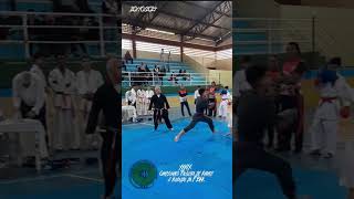 39° Campeonato Paulista de Karate e Kobudo da FBKK Karate karatedo [upl. by Winwaloe956]