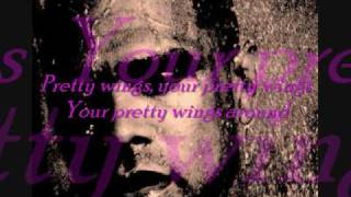 Maxwell Pretty Wings with Lyrics [upl. by Lebasi]