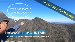 Hiking Hawksbill Mountain Trail with the Dogs  Linville Gorge Wilderness  Pisgah National Forest [upl. by Notlimah]