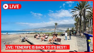 🔴LIVE TENERIFE IS BACK TO ITS BEST ☀️ San Eugenio Costa Adeje Canary Islands [upl. by Stouffer]