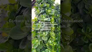 aeroponic verticalfarming in Aerotower hydroponics strawberry aeroponics greenhouse [upl. by Giustina]