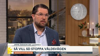 Jimmie Åkesson SD ”Ju fler vi låser in desto bättre”  Nyhetsmorgon  TV4 amp TV4 Play [upl. by Guevara886]