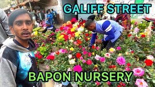 GALIFF STREET PLANT MARKET BAPON NURSERY  DAHLIA ROSE FLOWER PLANT PRICES  Best Flowers Forever [upl. by Lorrac]