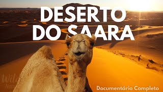 DESERTO DO SAARA  A BELEZA OCULTA DO INFINITO  Documentário Completo [upl. by Nymzaj976]