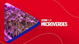 UCDB Play  Microverdes [upl. by Seidel]