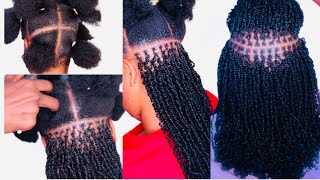 How to micro twist with curly hair minitwist microtwists twist twostrandtwist [upl. by Ahsiela]