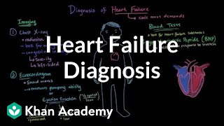 Heart failure diagnosis  Circulatory System and Disease  NCLEXRN  Khan Academy [upl. by Reo]