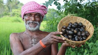 జన్మలో మర్చిపోలేని నత్తల కూర  Healthy Snail Recipe  Cooking South Indian Snails in Village [upl. by Fadden]