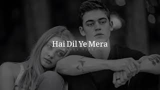 Hai Dil Ye Mera Full Video Song Slowed  Reverb  Arijit Singh  RAFEY VIBES [upl. by Enyawud685]