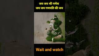 Jai ganeshvideo viralshort viralvideo viralshorts viralvideos videos [upl. by Ydollem386]