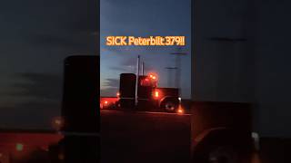 SICK Peterbilt 379 Car hauler [upl. by Hodosh]