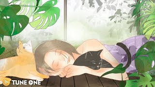 Lying on the floor 🏠🎋 Lofi hip hop  Mood feeling  Beats to relax study chill [upl. by Enak]