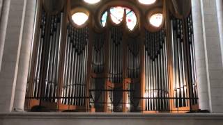 Die Orgel im Limbuger Dom in HD [upl. by Euhc590]