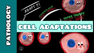 Cell Adaptation  Pathology  Ayan Parichha [upl. by Gati]