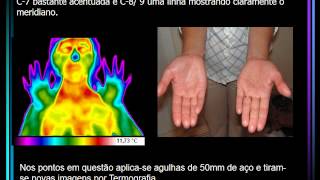 Curso Avançado de Termografia [upl. by Kcirtemed730]