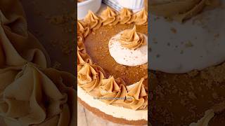 NoBake Biscoff Cheesecake Recipe  Creamy amp Delicious [upl. by Ilellan]