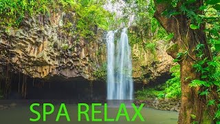 Relaxing Spa Music Meditation Healing Stress Relief Sleep Music Yoga Sleep Zen Spa ☯277 [upl. by Fillian290]