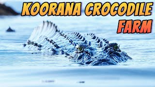 Koorana Crocodile Farm [upl. by Marte]