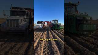 How we harvest potatoes farming agriculture potato harvest shorts [upl. by Engedus499]