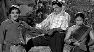 MR Radha comedy Scene  Thayai Katha Thanayan  Tamil Movie Scenes [upl. by Atreb]