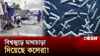 প্রাণঘাতী রোগে মৃত্যু বেড়েছে ৭১ শতাংশ ঘাটতি টিকা  Cholera  WHO  News  Desh TV [upl. by Voletta]