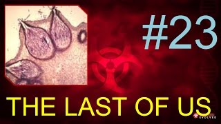 THE LAST OF US  Grzybowa infekcja mózgu 23 S4 Plague Inc Evolved [upl. by Nigel]