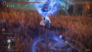 ELDEN RING DLC Weapons StarLined Sword KATANA Moveset [upl. by Thurston]