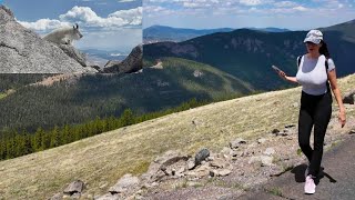 CHASING MOUNTAIN GOATS [upl. by Nata]