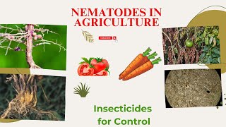 Nematodes in Agriculture Identifying Symptoms and insecticides for Control [upl. by Yesiad913]