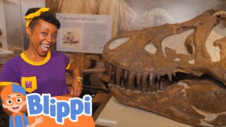 Meekah roars like a dinosaur  Blippi  Learn Colors and Science [upl. by Fortunia]