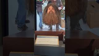 HAGRIDS HEAD ANIMATRONICHARRY POTTER shorts [upl. by Asssilem991]