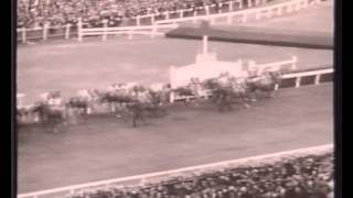 This Fabulous Tuesday Melbourne Cup Collection  Opener [upl. by Eidoj]