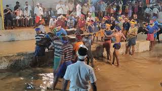 Kambala Start  Panapila Mangalore 2024 [upl. by Sirromad]